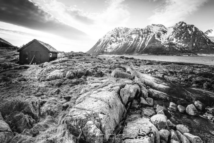 Paysage en noir et blanc des îles Lofoten