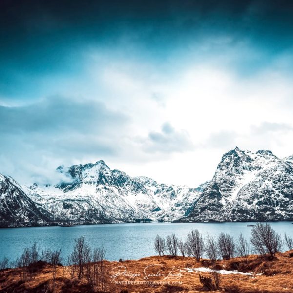 Blue Vibrations Fjord enneigé sur les îles Lofoten