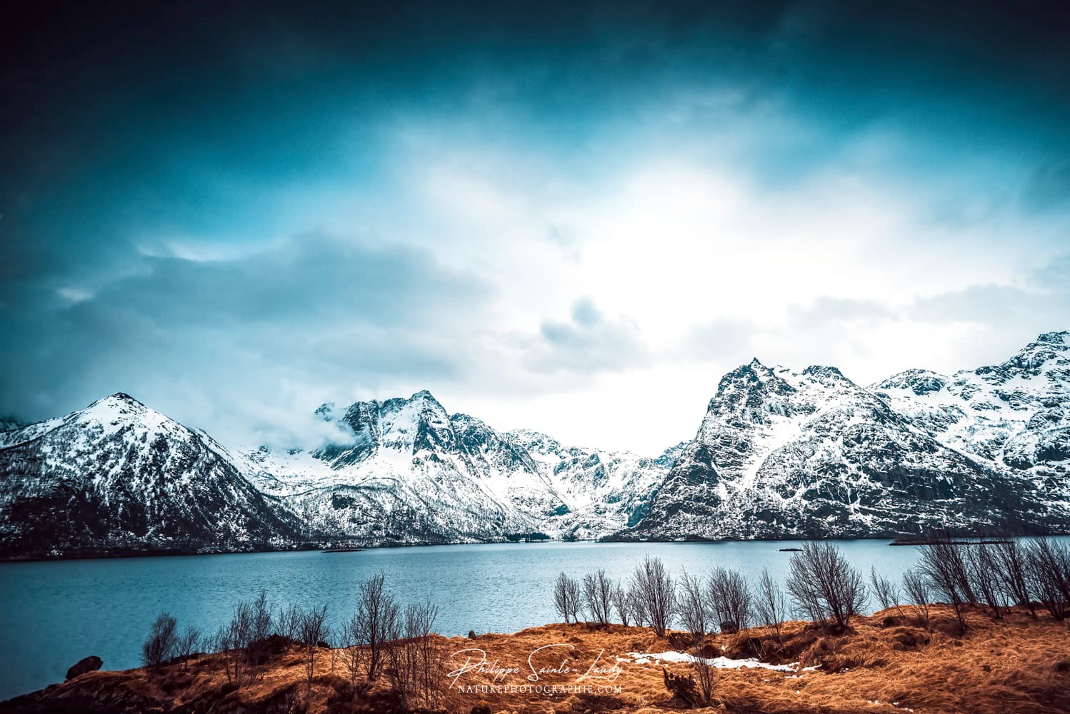 Fjord enneigé sur les îles Lofoten