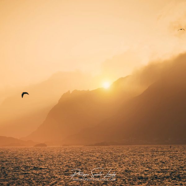 Evening Flight Soleil de minuit en Norvège