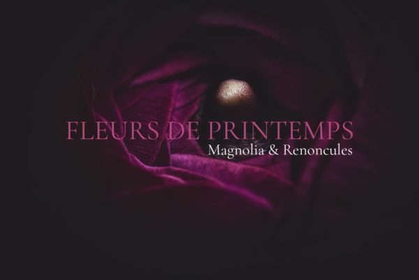 Fleurs de printemps