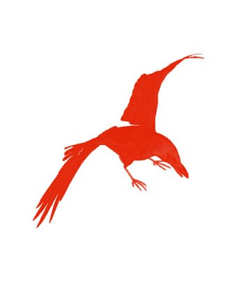 Oiseau rouge