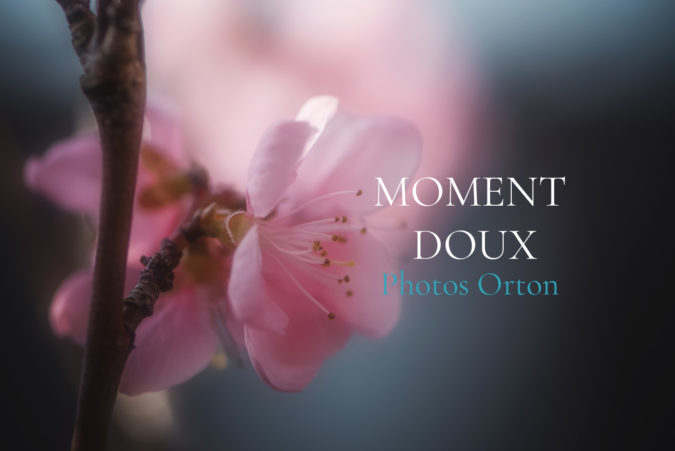 Photos Orton Photos Orton