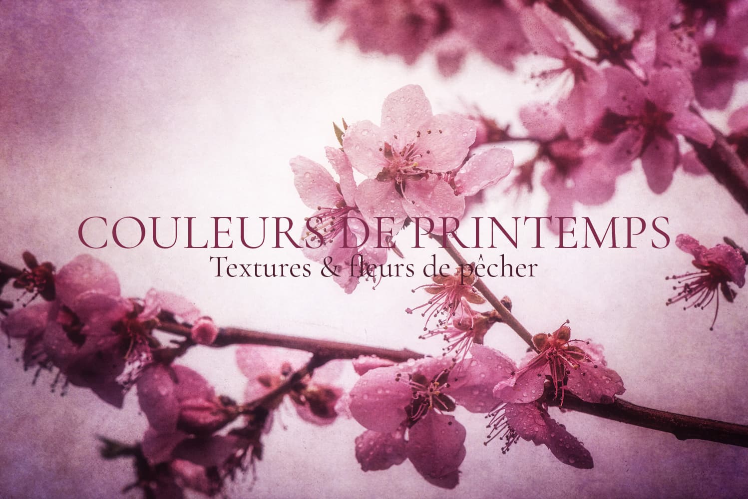 Couleurs de printemps