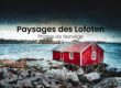 Photos de paysages avec textures