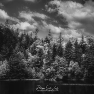 Between Dark and Light Lac de la Maix en noir et blanc