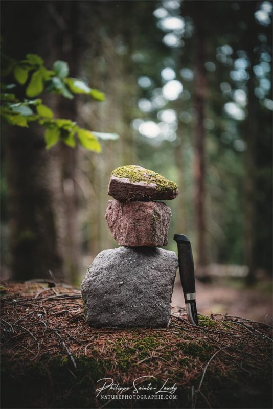 Couteau Marttiini en forêt