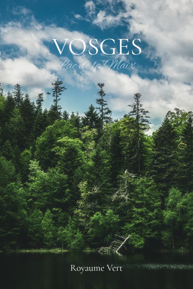 Les Vosges Sapins des Vosges