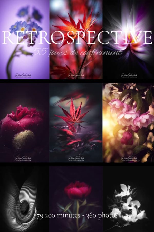 Retrospective Retrospective photos nature