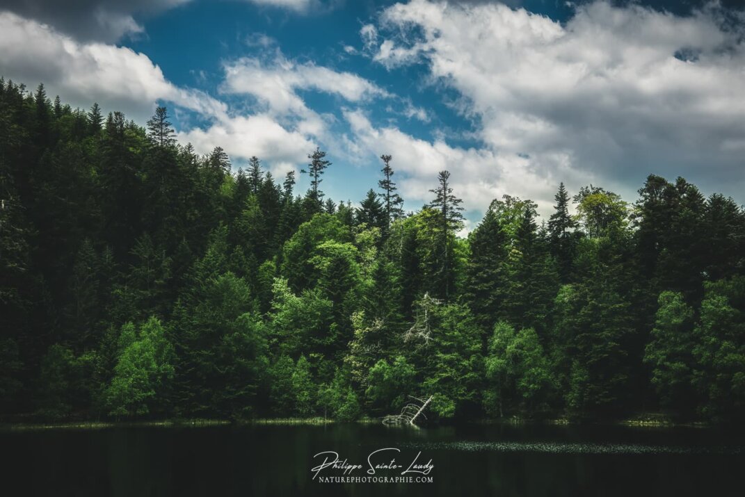 Photos du lac de la Maix