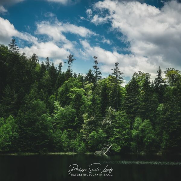 Simply Green Photos du lac de la Maix