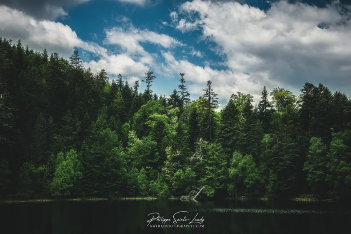 Photos du lac de la Maix