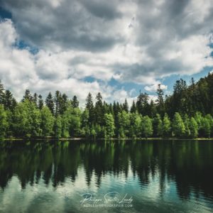 The Other Side The Other Side