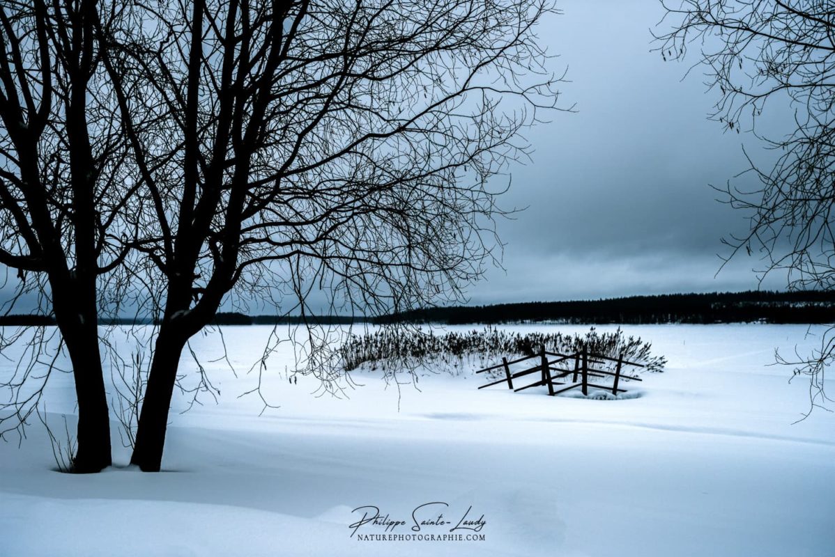 Paysage enneigé en Laponie