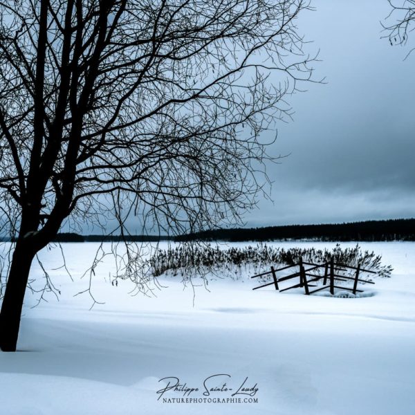 A Cold Winter Memory Paysage enneigé en Laponie