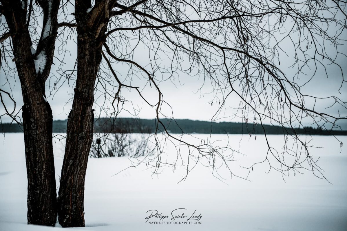 Paysage de Finlande sous la neige