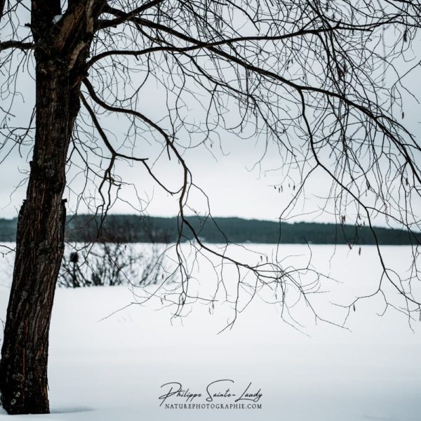 Breath of Winter Paysage de Finlande sous la neige