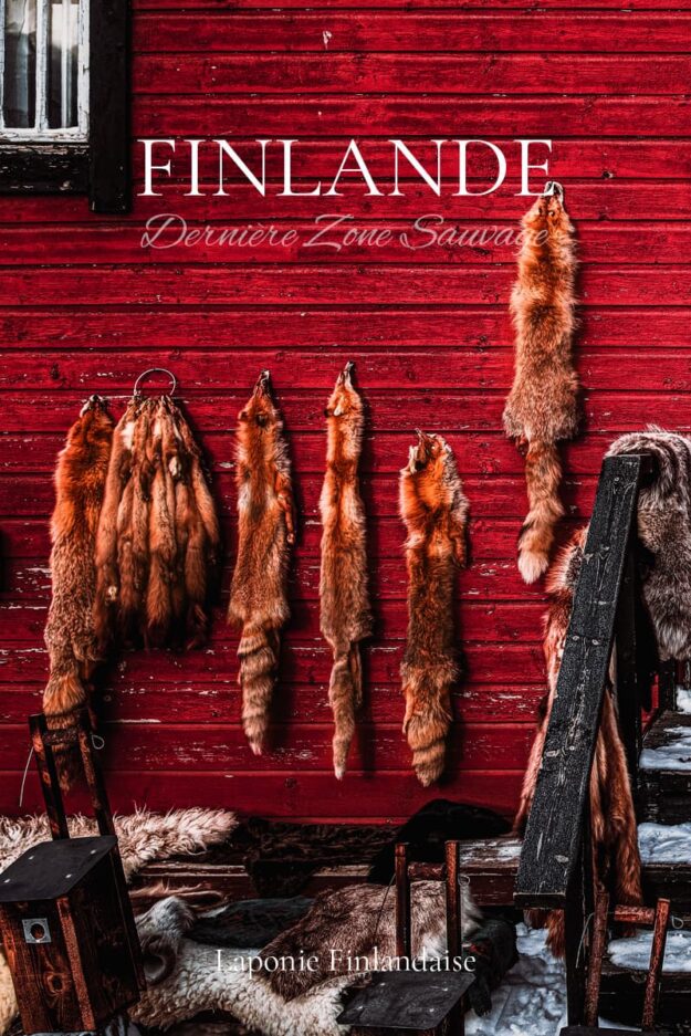 Finlande Sauvage