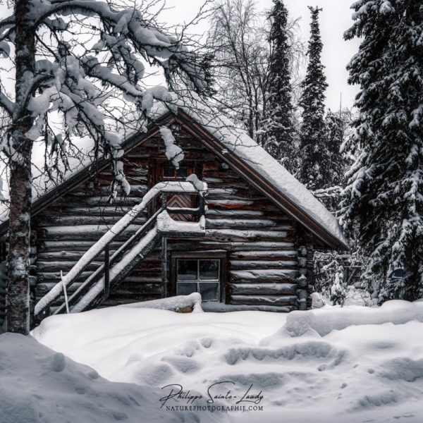 Isolated in the Snow Chalet Finlandais sous la neige