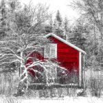 Chalet rouge en forêt