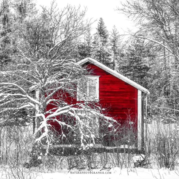 Red Cabin in the Forest Chalet rouge en forêt