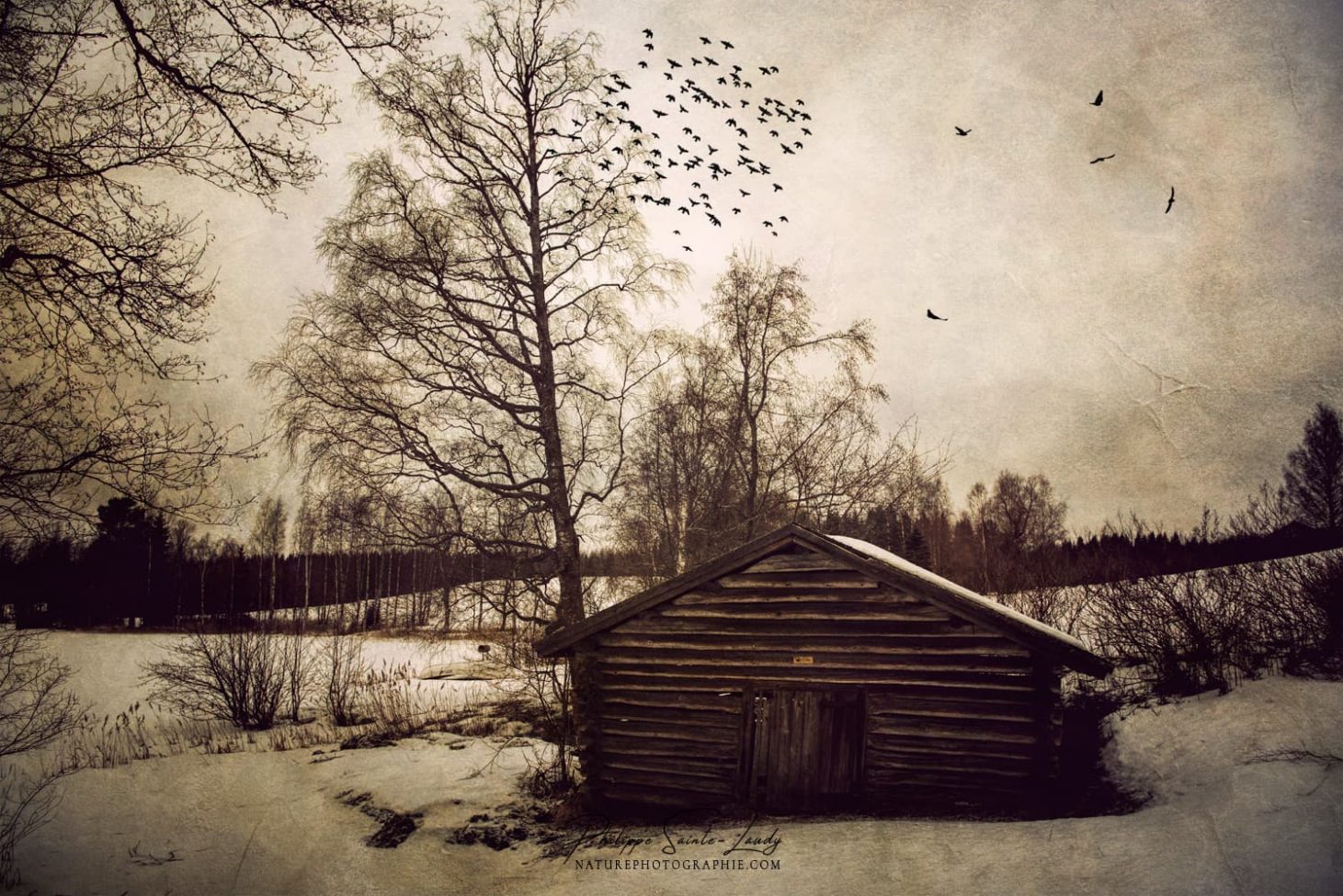 Texture photo sur un paysage de Finlande