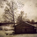 Texture photo sur un paysage de Finlande