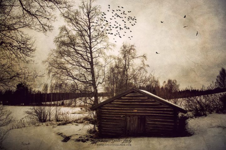 Texture photo sur un paysage de Finlande