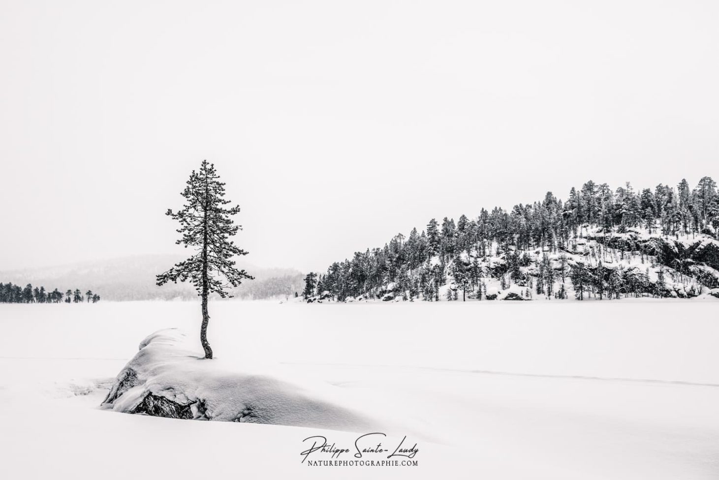Lac gelé en Laponie