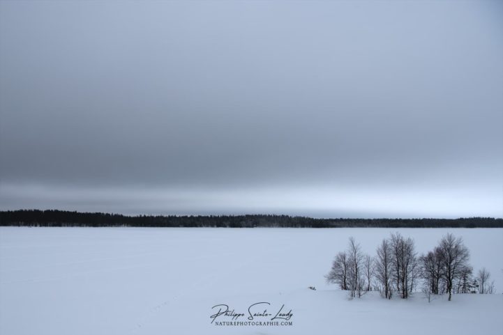 Lac gelé en Finlande