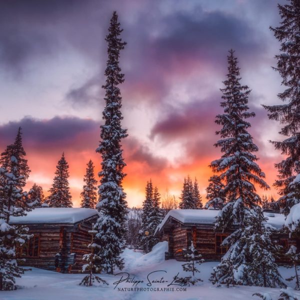 Winter Calm Coucher de soleil et paysage de neige - Laponie