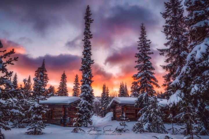 Coucher de soleil et paysage de neige - Laponie