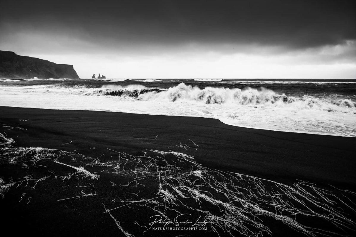 Rouleaux sur la plage de Vik