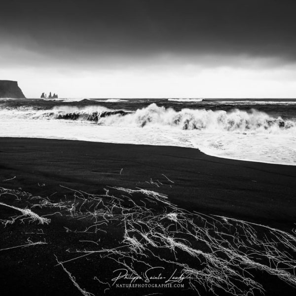 Rouleaux sur la plage de Vik