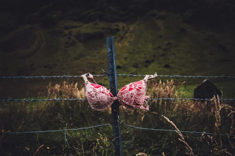 Soutien gorge et barbelés