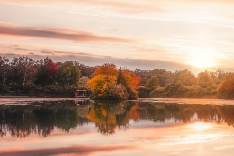 Les couleurs de l'automne en Lorraine