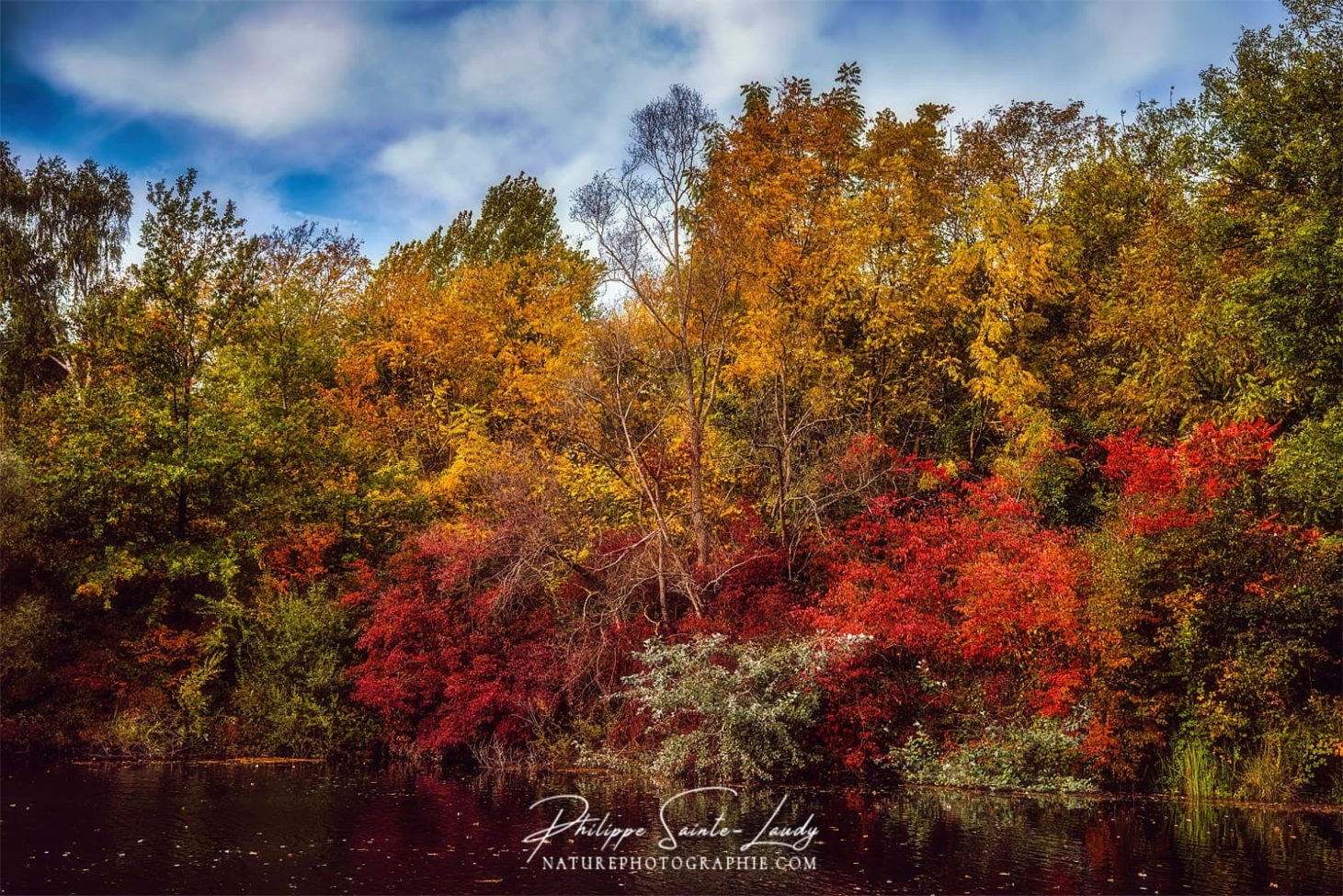 Des arbres colorés en automne