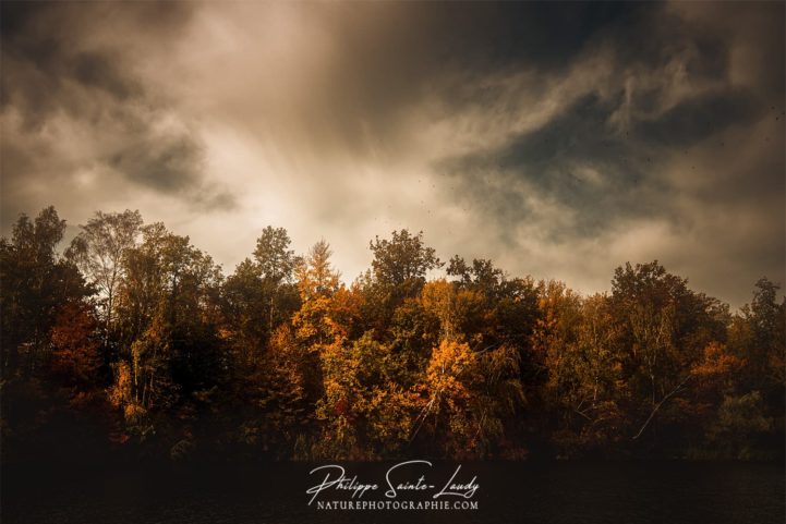 Photo dramatique en automne