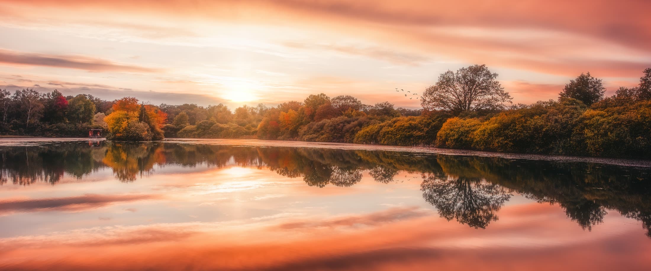 Photo d'automne en Lorraine