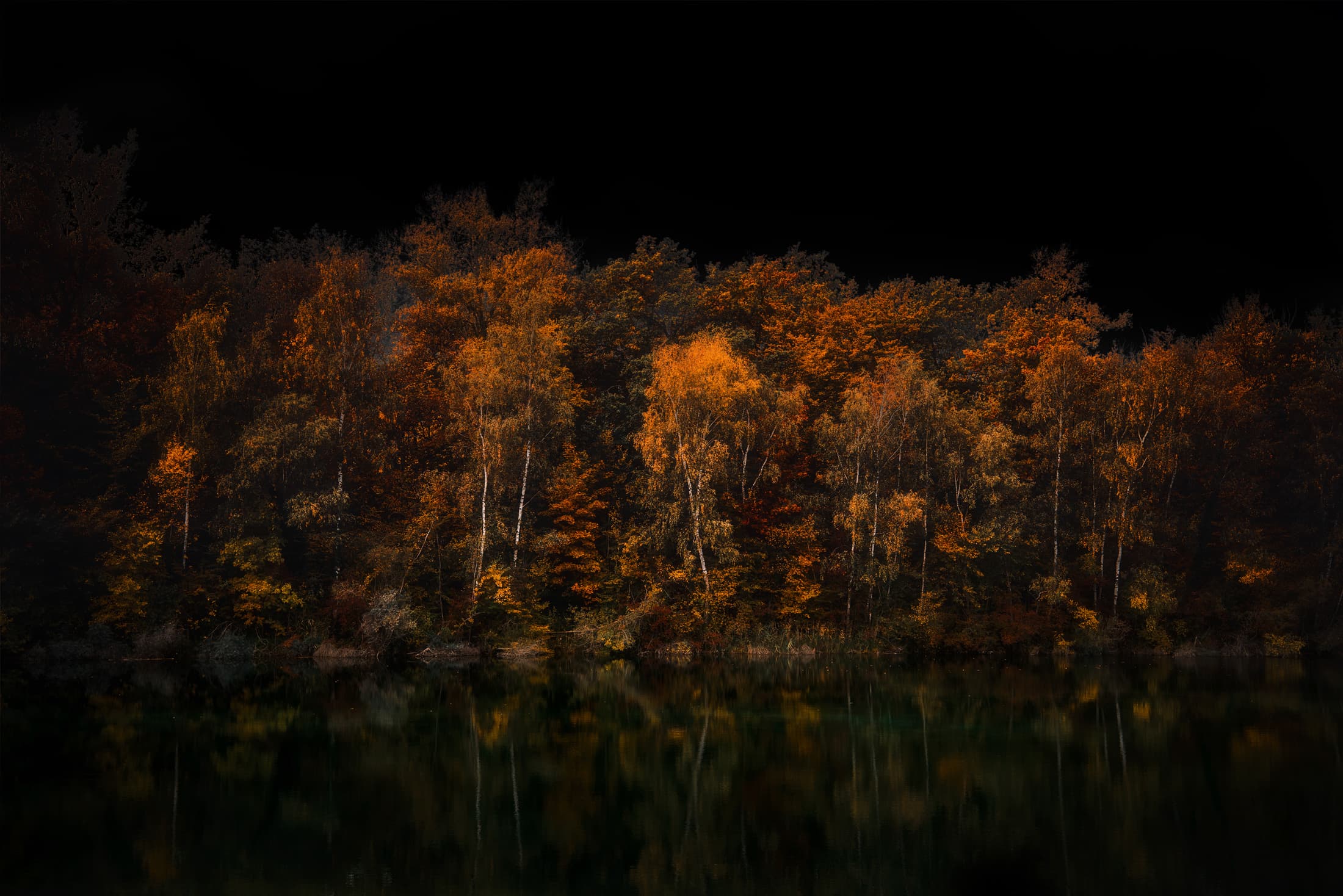 Des photos d'automne différentes