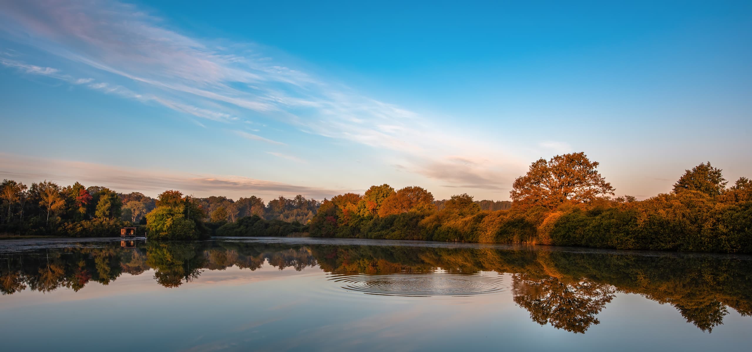 Photo d'un automne en Lorraine