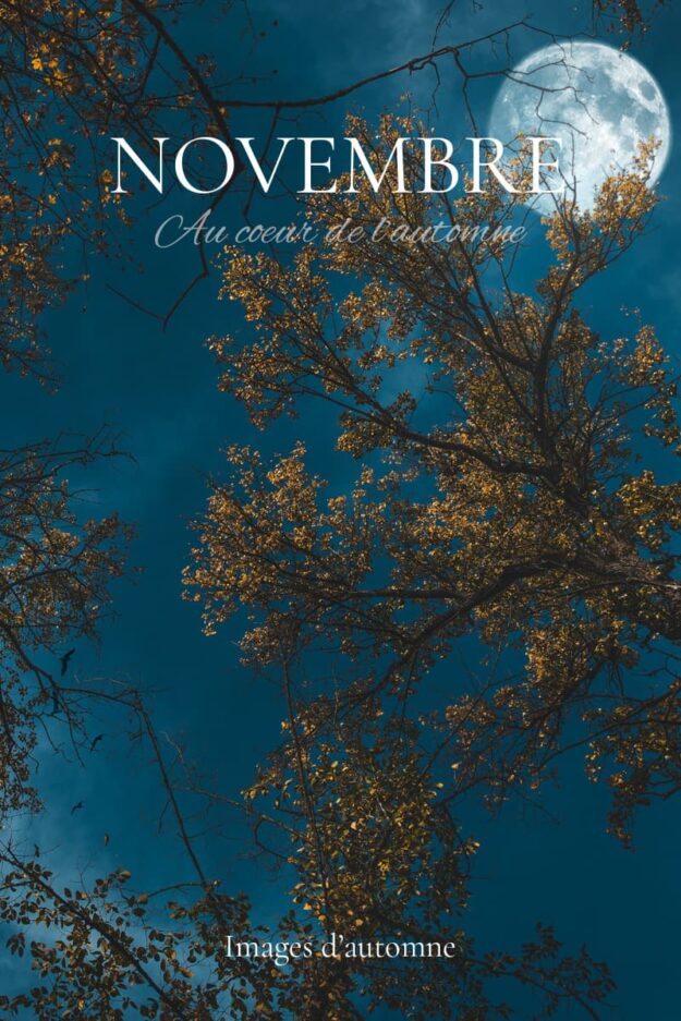 Automne en novembre. Article et photos sur Nature Photographie