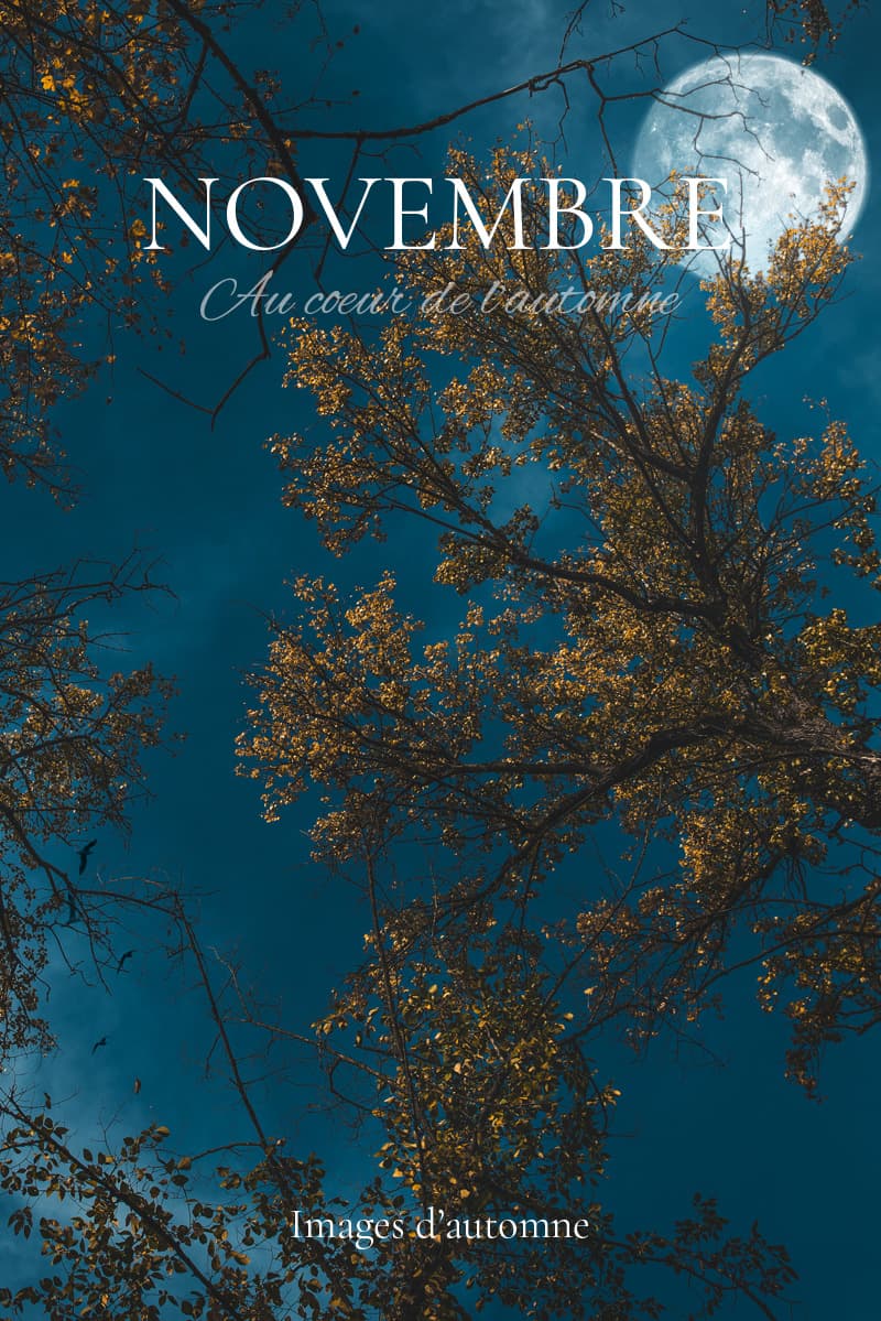 Automne en novembre. Article et photos sur Nature Photographie