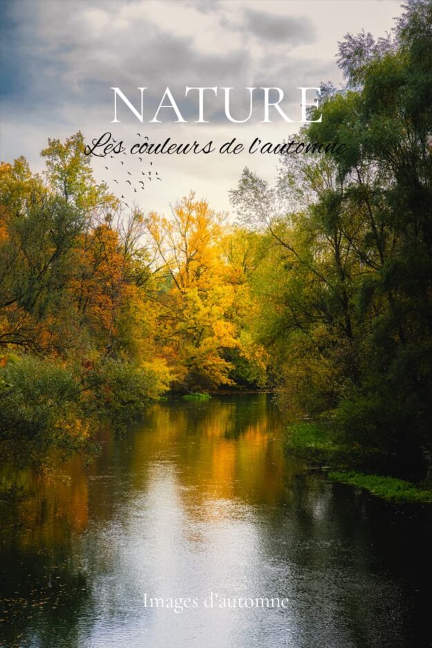 Automne et photographie