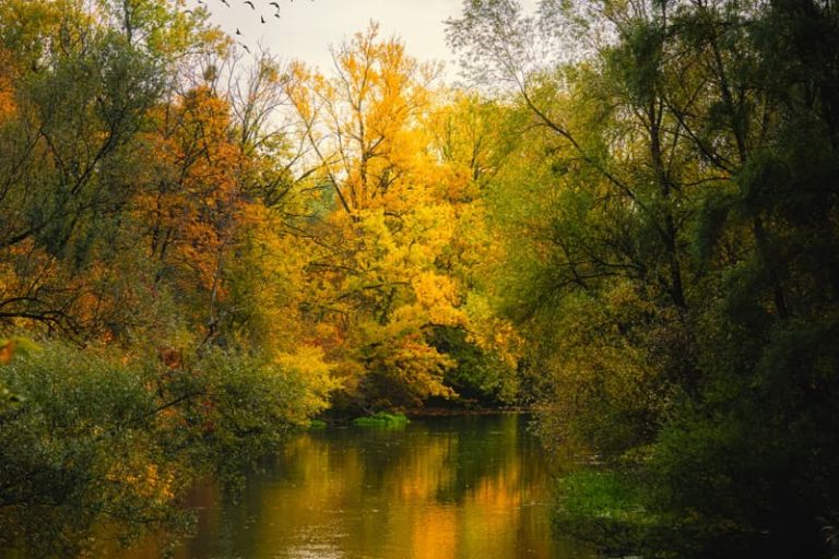 Automne et photographie