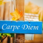 Carpe Diem