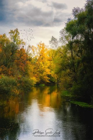 Rivière en automne