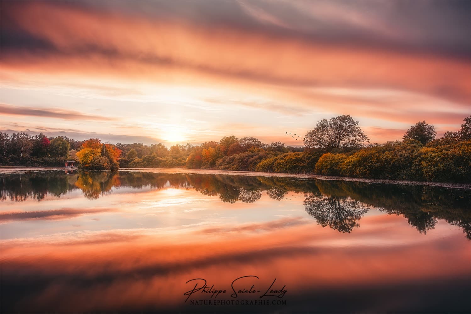 Coucher de soleil sur un étang en Lorraine