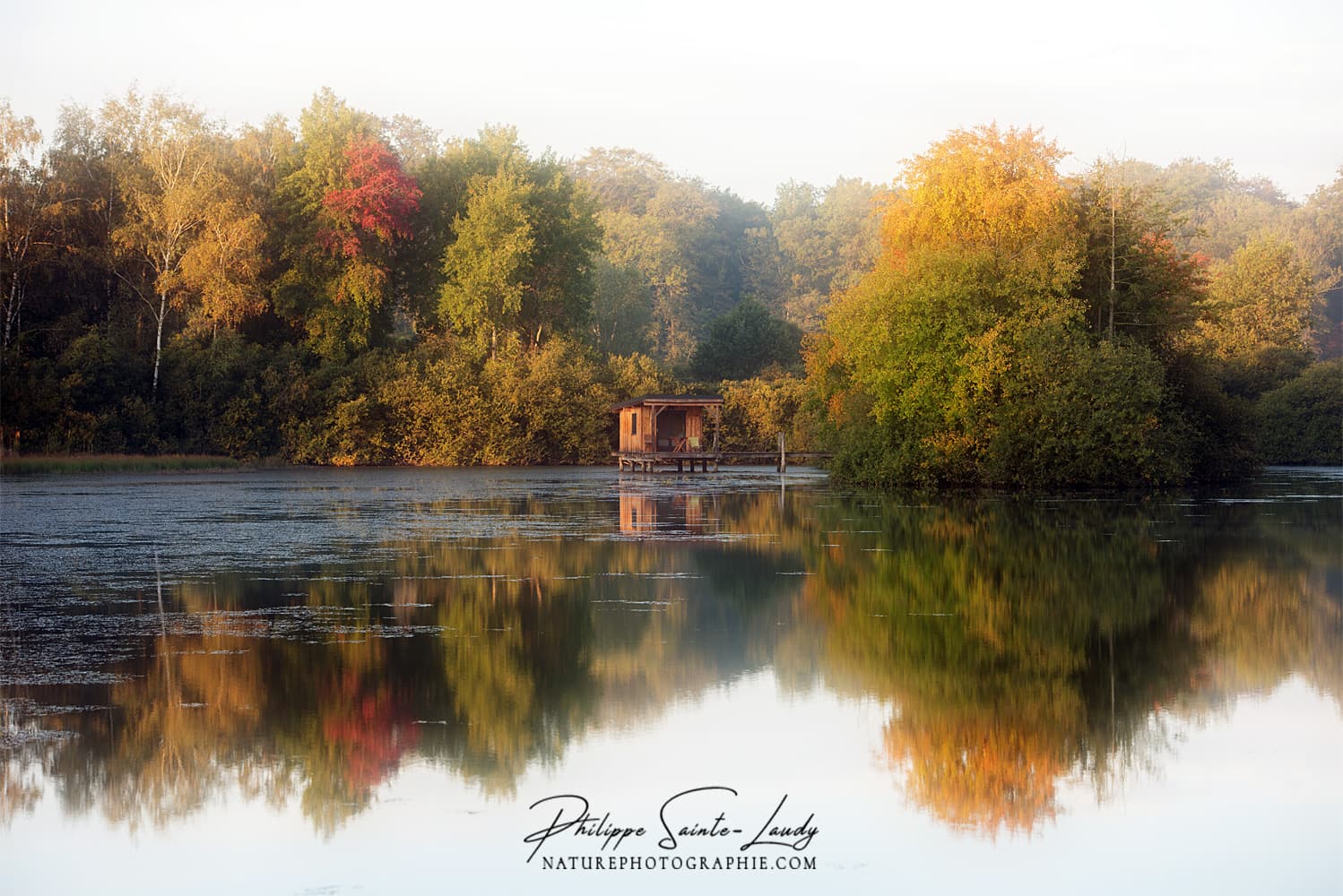 Cabanon sur pilotis en automne