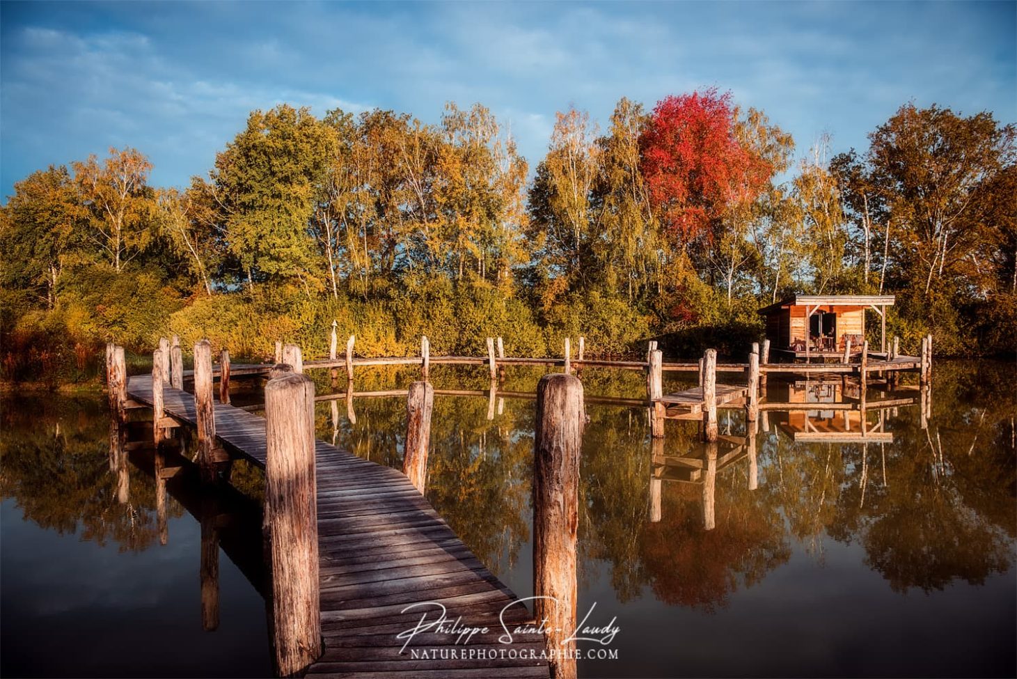 Cabane sur pilotis dans le domaine Robin'Son en Lorraine